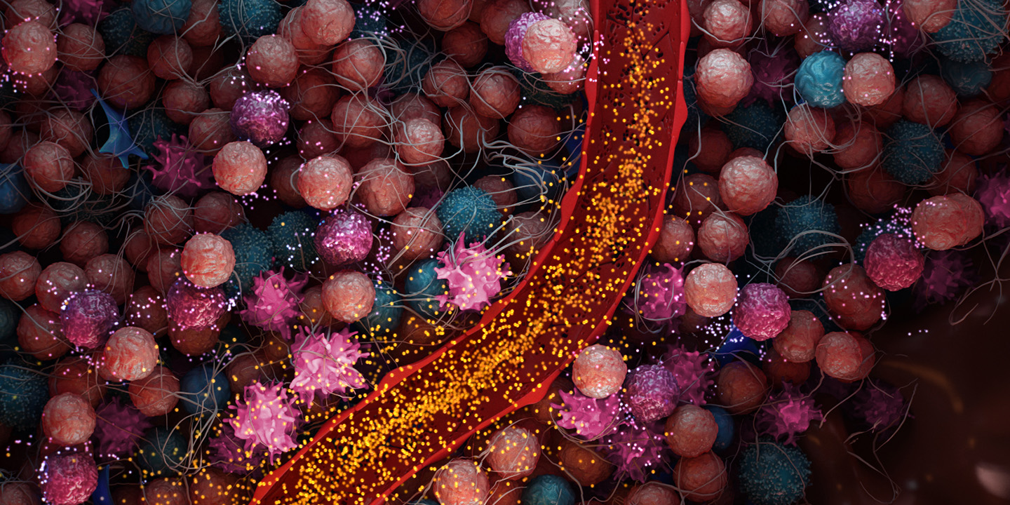 Interactive scientific illustration of the cell types with the tumor microenvironment where a reopened blood vessel allows a drug to diffuse into the tissue.
